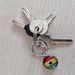 Sleutelhanger (4 sleutels)